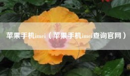 苹果手机imei（苹果手机imei查询官网）