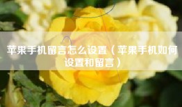 苹果手机留言怎么设置（苹果手机如何设置和留言）