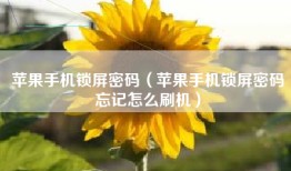 苹果手机锁屏密码（苹果手机锁屏密码忘记怎么刷机）