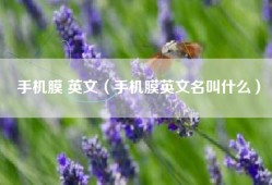 手机膜 英文（手机膜英文名叫什么）