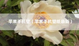 苹果手机壁（苹果手机壁纸最新）