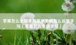 苹果怎么全屏手写苹果手机怎么设置手写「苹果怎么全屏手写」