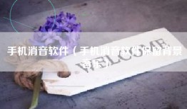 手机消音软件（手机消音软件保留背景音乐）