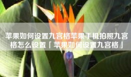 苹果如何设置九宫格苹果手机拍照九宫格怎么设置「苹果如何设置九宫格」