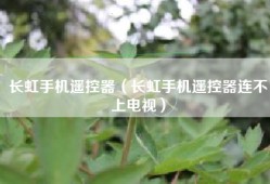 长虹手机遥控器（长虹手机遥控器连不上电视）