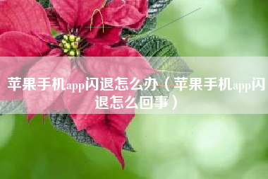 苹果手机app闪退怎么办（苹果手机app闪退怎么回事）